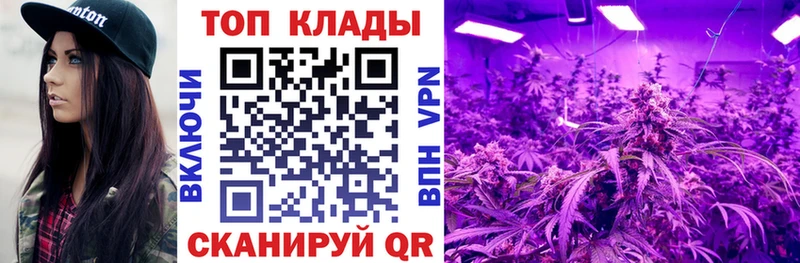 Альфа ПВП Гудермес