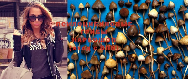 прущие крисы Сосновка