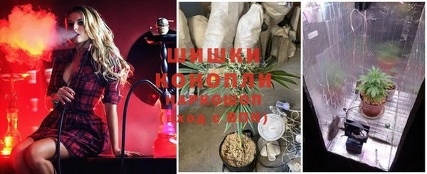 героин Богданович