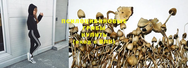 кокаин премиум Белокуриха